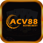 acv88 best